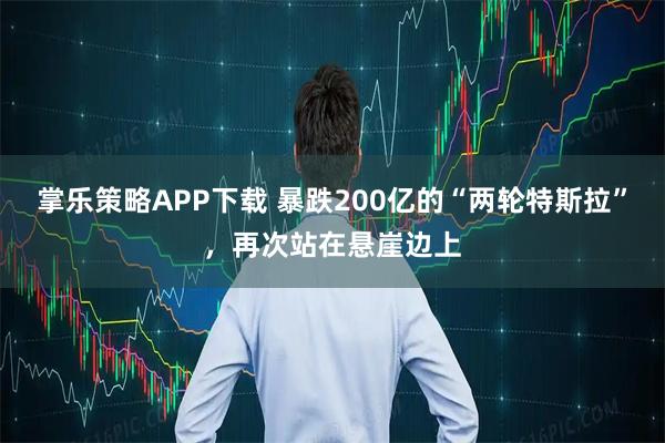 掌乐策略APP下载 暴跌200亿的“两轮特斯拉”，再次站在悬崖边上